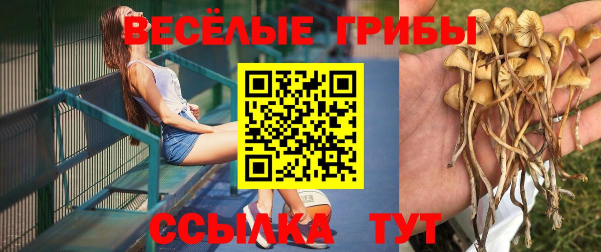Печора  Галлюциногенные грибы мицелий  Вход с VPN  Псилоцибиновые грибы прущие грибы 